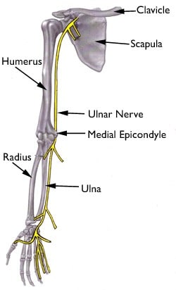 Cubital Tunnel Nerve Diagram