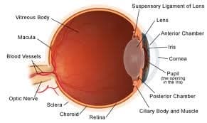 eye injury lawyer Fishkill NY
