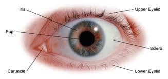 eye injury attorney Fishkill NY